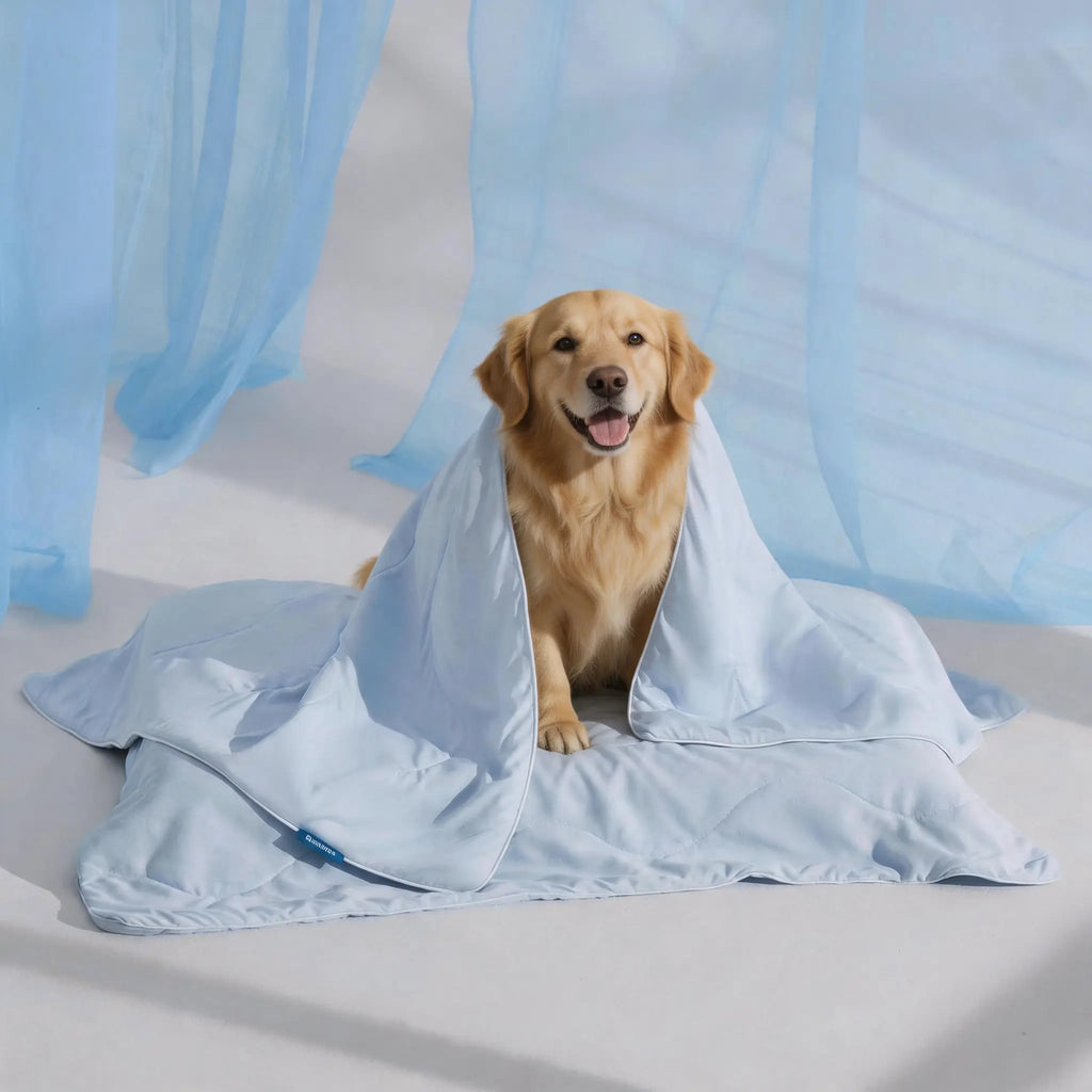 Lesure Cooling Orthopedic Dog Thick Mat – Q-Max>0.5 Cooling Mat with Washable Cover, Egg Crate Foam Non-Slip Bed for Extra Large Dogs,Deals For You Days