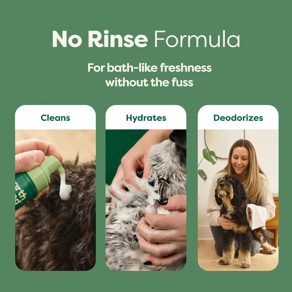 No-Rinse Dog Shampoo 7 oz - White Tea & Basil Scent, Convenient Waterless Formula for All Coat Types, Refreshing Scent Sold by Earth Rated
